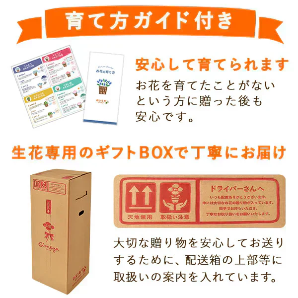 敬老の日 りんどう(いわて乙女)＆和菓子セット 【おいもや】（9月12日〜15日配送） KR