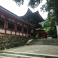 御朱印帳 流れ桜 白茶
