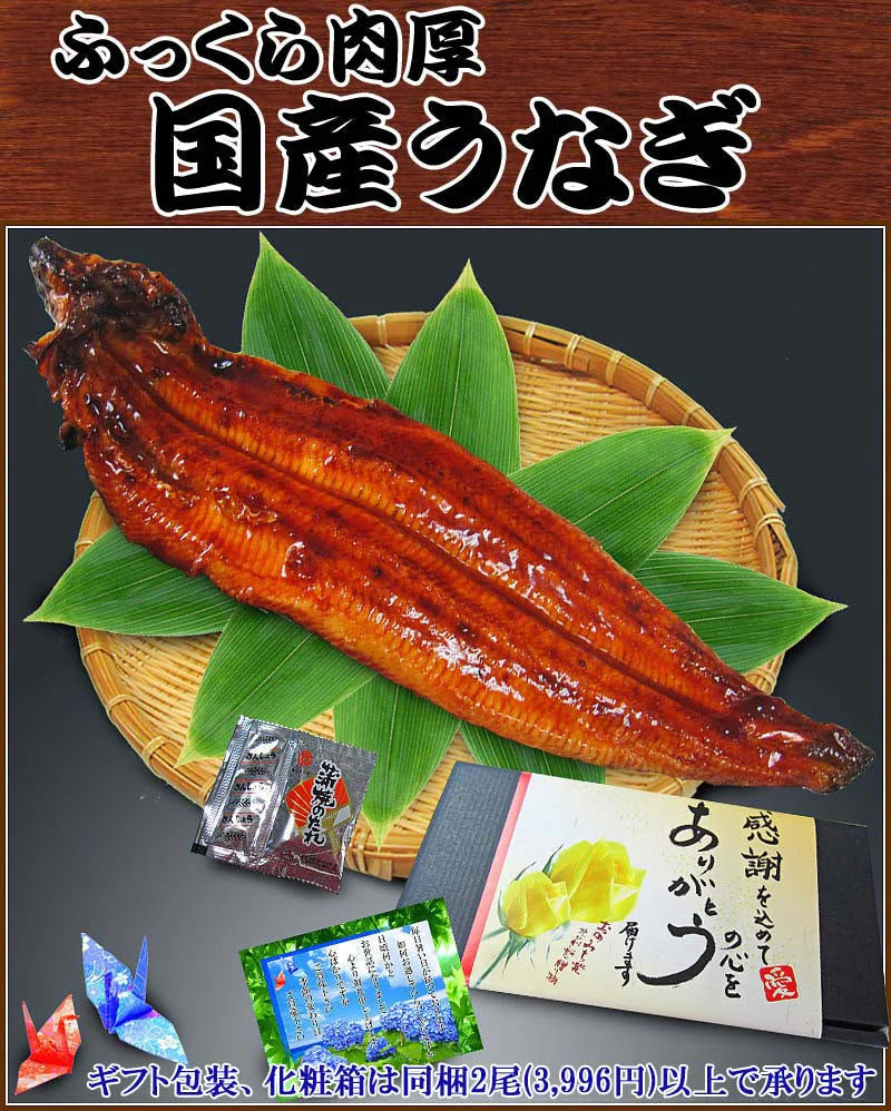 うなぎ 蒲焼き【国産 国内産】炭火焼うなぎ蒲焼1尾 特大(1尾：250g前後)土用の丑の日 宮崎県産・鹿児島県産 ※蒲焼のタレ付