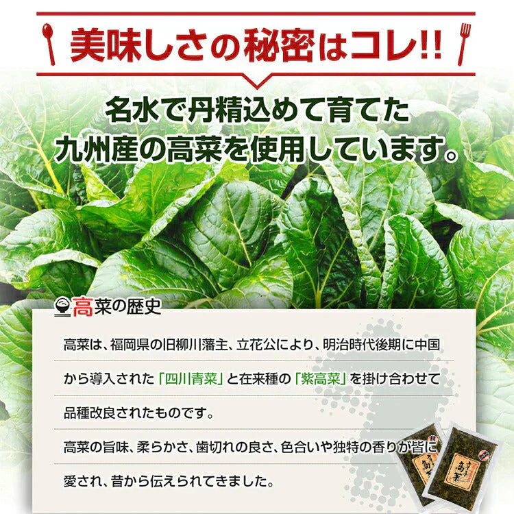 辛子高菜 250ｇ×2袋 送料無料 メール便 博多 福岡 帰省土産 旅行土産 おかず ご飯のお供 おつまみ お土産 ギフト ポイント消化