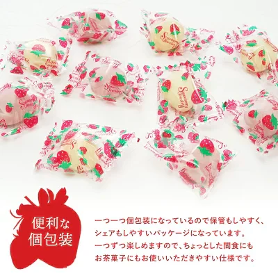 フリーズドライ苺チョコ ストロベリー 12個×3P 苺チョコ ［基本冷蔵/冷凍も可］【送料無料】【3～4営業日以内に出荷】［賞味期限：2024年6月30日］ チョコレート おしゃれ オシャレ かわいい 可愛い ギフト