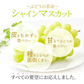 【9月上旬順次発送】送料無料 岡山産 シャインマスカット 晴王 訳あり 1房600グラム ぶどう ギフト お供え プレゼント 贈り物 お土産 シャインマスカット晴王
