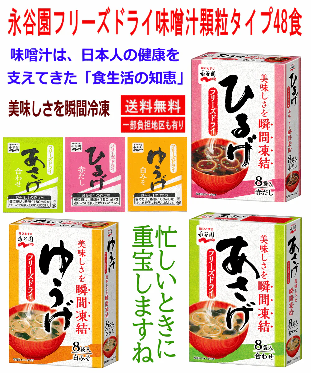 【50周年特別企画50組限定】 インスタント味噌汁 即席みそ汁 永谷園 フリーズドライ 顆粒タイプ 3種 48食 あさげ ひるげ ゆうげ 関東圏送料無料