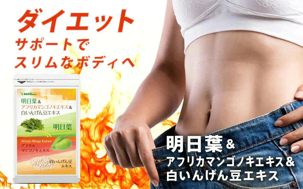 明日葉＆アフリカマンゴノキ＆白いんげん豆エキス≪約3ヶ月分≫送料無料アフリカマンゴノキ/白いんげん豆/ダイエット/ファビノールサプリメント/ ダイエット サプリ【大容量】
