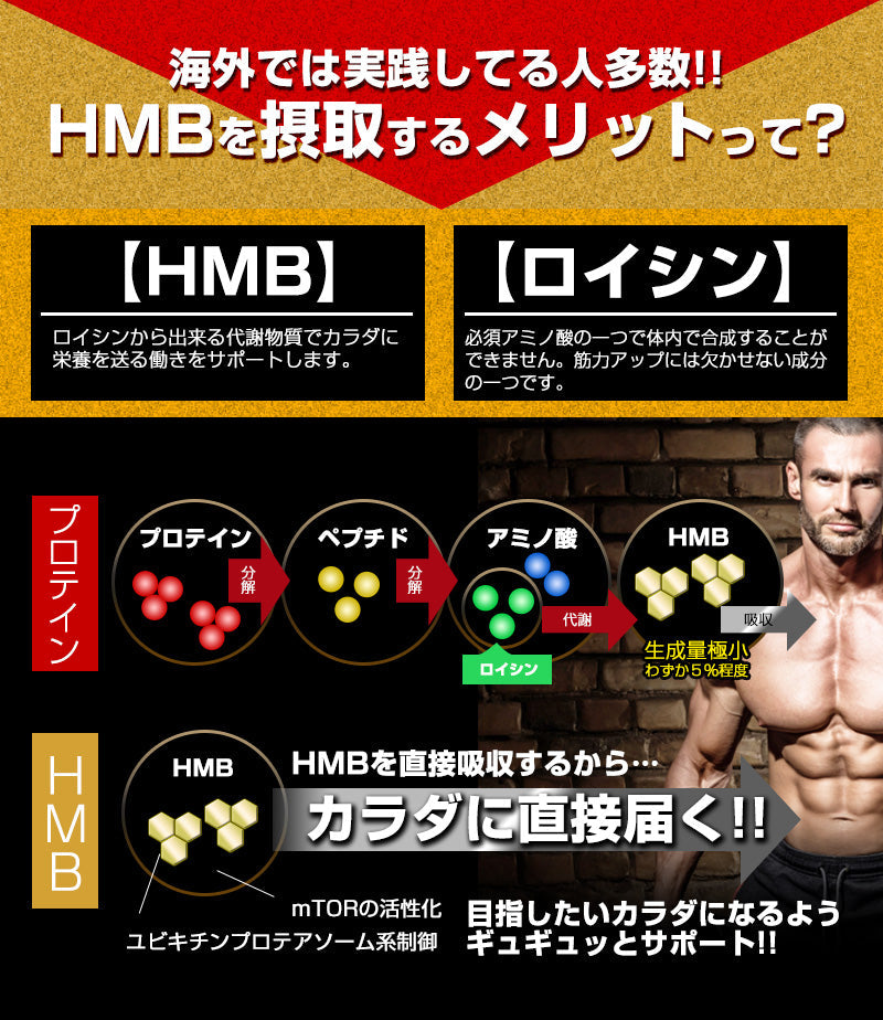 【お得３個セット】HMB トップギアプロ (HMB TOPGIA PRO) マッスルパワーを強力サポート! 筋肉 強力サポート 筋トレ マッスルパワー 中年太り 運動不足 プロテイン ダイエット 男性 筋トレ サプリメント シトルリン　アルギニン クレアチン カルニチン 亜鉛 マカ HMB スッポン マムシ BCAA 馬睾丸 日本 気力 活力 男力 バルクアップ 太く強く 最強のボディー