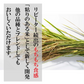 【 無洗米 】 新米 令和4年産 お米 送料無料 【 新潟県産 ミルキークイーン】 5kg 新潟米