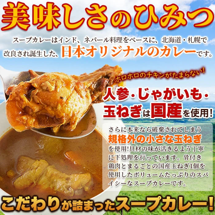 ゴロッと 玉ねぎ と骨付き チキン の スープカレー【1人前 260g×２袋】富良野市場/ネコポス