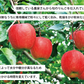 送料無料 アップルファイバー ふじ 100g 国産 青森県産 りんご ふじ 粉末 食物繊維 コレステロール 紅茶 ヨーグルト お菓子【8302】