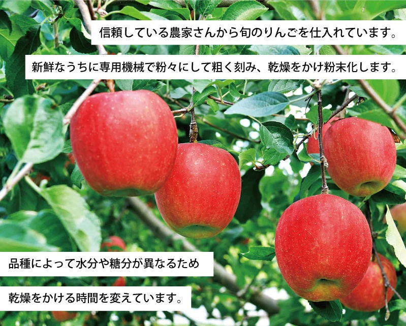 送料無料 アップルファイバー ふじ 100g 国産 青森県産 りんご ふじ 粉末 食物繊維 コレステロール 紅茶 ヨーグルト お菓子【8302】