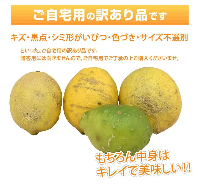 レモン 訳あり 国産レモン 送料無料 5kg 熊本県産 減農薬 防腐剤ワックス不使用 れもん グリーンレモン 国産