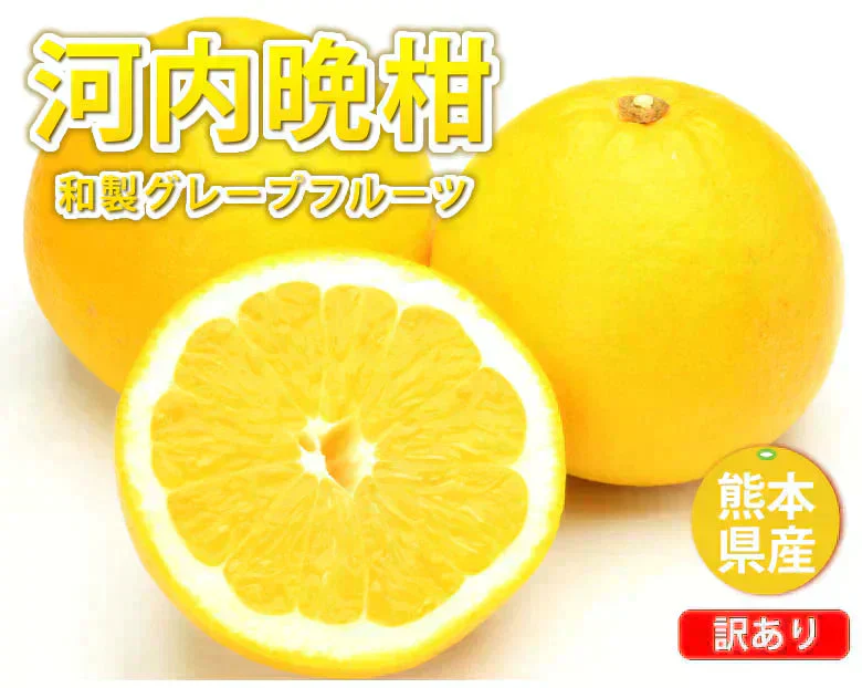 河内晩柑 みかん 送料無料 訳あり 10kg 箱込 (内容量9kg+不良果補償分500g) S～3L 和製グレープフルーツ お取り寄せ 晩柑 熊本県産 美生柑 フルーツ