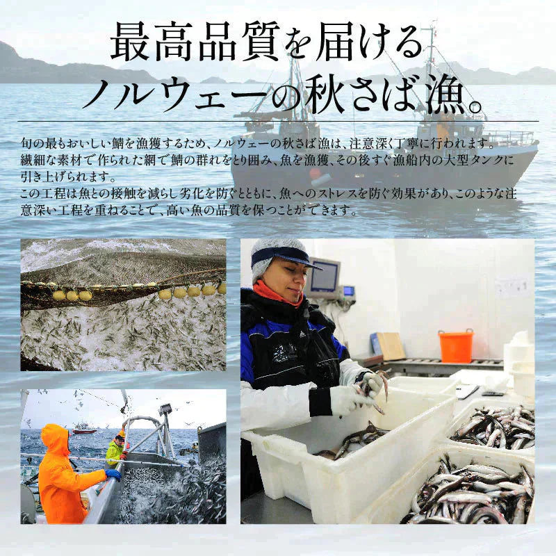 さば 無添加 無塩 トロさば サバ 鯖 約3kg(18〜24尾）トロ鯖 海鮮 天然 美味しい 魚 魚介 海産物 おかず おつまみ 乾き物 酒の肴 贈り物 お取り寄せグルメ 食べ物 おいしい 絶品
