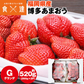 博多あまおう 福岡県産 ご家庭用 2パック 約520g (1パック約260g)  グランデ