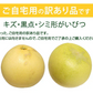 晩白柚 みかん ばんぺいゆ 訳あり 送料無料 約3kg〜4kg 2玉入 M〜2Lサイズ 世界最大級の柑橘 熊本県八代産 蜜柑 ミカン