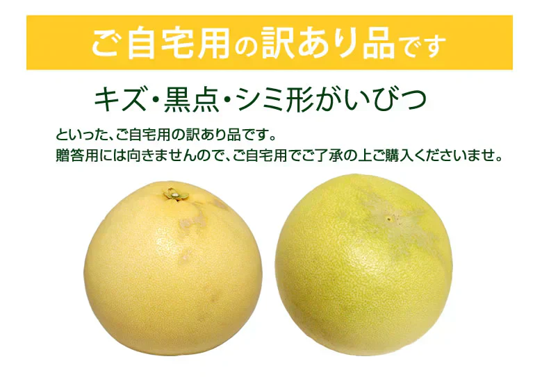 晩白柚 みかん ばんぺいゆ 訳あり 送料無料 約3kg〜4kg 2玉入 M〜2Lサイズ 世界最大級の柑橘 熊本県八代産 蜜柑 ミカン