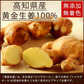 【送料無料】 プレミアムジンジャーパウダー20g 【代引不可】 スーパー生姜 高知県産 黄金生姜 生姜粉末 しょうがパウダー ジンジャーパウダー  乾燥ショウガ 無添加 温活 冷え対策 生姜 しょうが ショウガ 国産