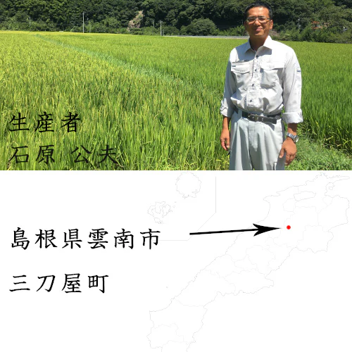 米 島根県雲南産 きぬむすめ 玄米 30kg 令和7年産 石原公夫