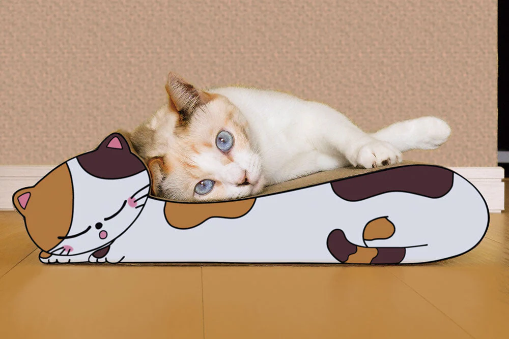 ねこの爪とぎ　居眠りにゃんこ　茶トラ◆ 猫 ネコ ねこ にゃんこ 猫用品 ペット ぺっと グッズ 小物 つめとぎ 爪とぎ 爪研ぎ ダンボール 段ボール お洒落 おしゃれ オシャレ 可愛い かわいい カワイイ 猫の日