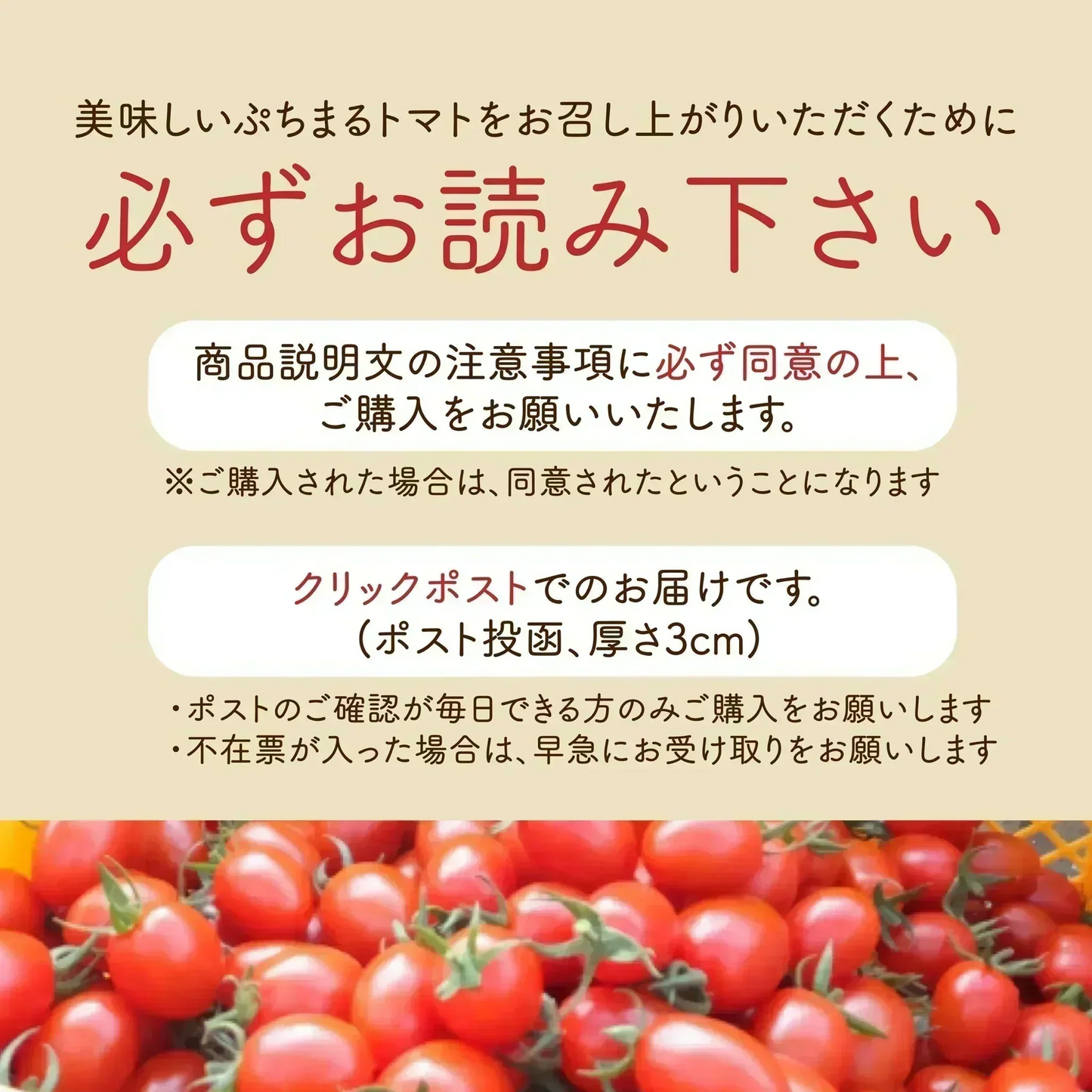 【１番早く届く！】【10月中旬頃〜12月末日までに発送】【予約】１番多い約450g！ぷちまるトマト(280~300g+保証分150g)日本一の産地から農家直送 熊本県産 野菜 青果 フルーツ ミニトマト【カウシェファーム収穫対象商品】