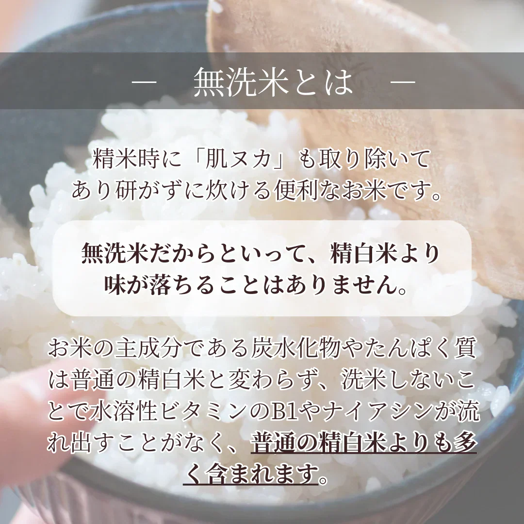 特別栽培米 無洗米 福岡県産 夢つくし 300g 令和5年度産