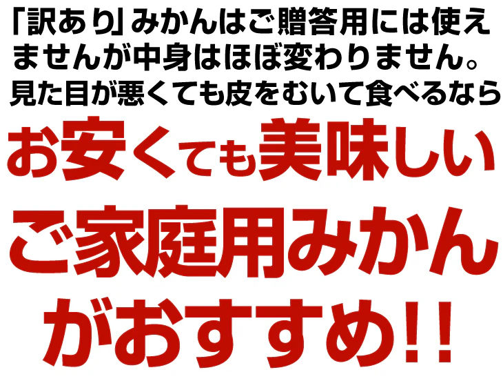 みかん　熊本産　おいしいみかん　5kg　サイズおまかせ　ご家庭用（発送予定：11月中旬より）