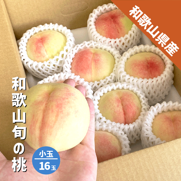 和歌山県産 旬の桃 小玉 16玉  あら川の桃 白鳳 川中島 清水 白桃 白鳳系 白桃系 桃 家庭用 数量限定