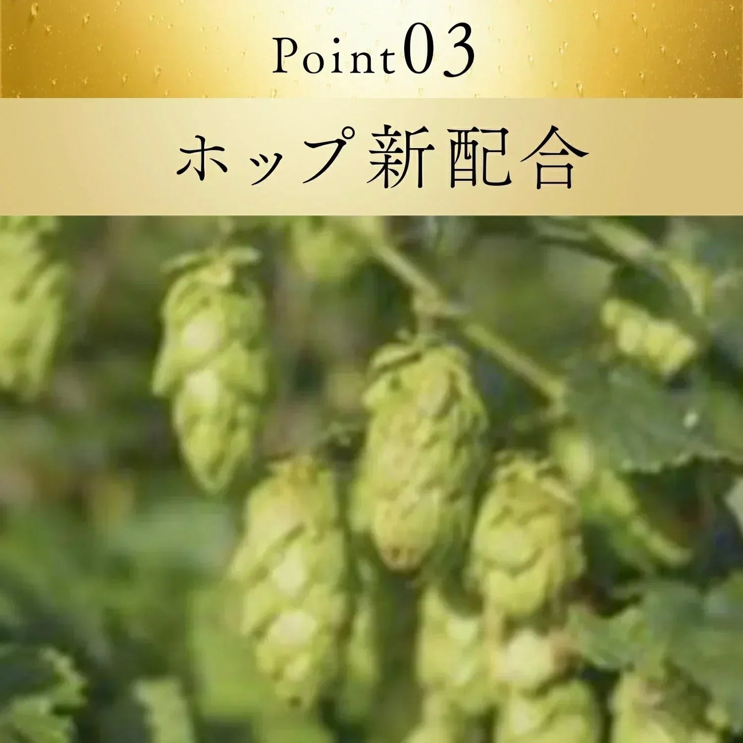 キリン 一番搾り 糖質ゼロ 350ml×2ケース/48本 YTR