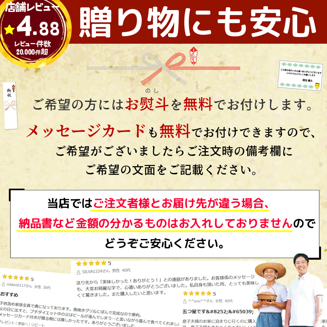 8秒に1本売れてる！手羽餃子 10本入 冷凍 餃子 国産鶏肉 惣菜 おかず 簡単調理 お取り寄せ グルメ 手羽先餃子 ビール おつまみ BBQ 人気 点心 送料無料 リュウジのバズレシピ