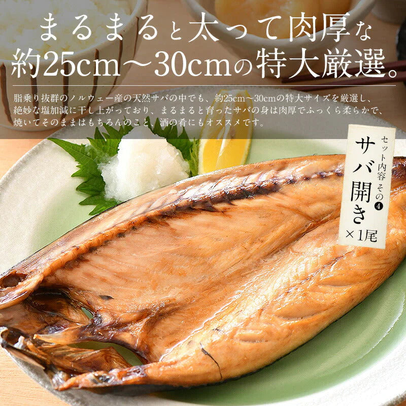 干物 初回限定 お試しセット 詰め合わせ 5種 干物セット おつまみ 魚 のどぐろ カマス アジ サバ ハタハタ 一夜干し 海鮮 魚介 詰め合せ 美味しい つまみ 酒のつまみ 酒の肴 乾き物 やみつき 贈り物 贈答 誕生日 贈答品 食品 母の日 プレゼント ギフト  母の日思いの 健康