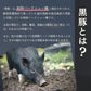 静岡県産 高級黒豚（バークシャー）小間肉（500g×2パック）