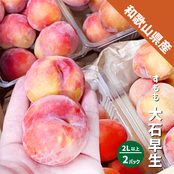 和歌山県産 すもも 大石早生 約1kg (約500g×2パック ) 2Lサイズ以上 2L 3L プラム スモモ