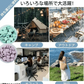 【天然成分&口腔ケア】＼ミント1個／約50粒 マウスウォッシュ タブレット型の歯磨き粉 オーラルケア マウス デンタル  歯みがきタブレット 口臭ケア デンタル 口臭 におい エチケット フルーツ ミント 爽快感 携帯便利 ハンドメイド プチギフト コスメ お口のケア 歯磨き粉