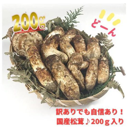 訳あり国産松茸 市場直送でお届け たっぷり堪能できる約200g入り