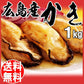 【カウシェうまいもん市場】カキ かき 牡蠣 広島 1kg 冷凍 牡蠣(かき)特大 1kg (正味量約850g)×1袋 広島産/広島県産  送料無料 カキフライ バーベキュー 材料 BBQ 鍋 鍋セット ヘルシー  日時指定不可