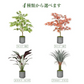 フェイクグリーン 「カラテア・セトサ」 観葉植物 大型 人工観葉植物 リアル フェイク グリーン インテリア 飾り用 撮影用 部屋飾り 造花 お祝い プレゼント おしゃれ