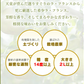 ギフト 送料無料 山形県産 洋梨 ラフランス 約1.5kg(2L〜L・6玉入り) のし対応 お歳暮 プレゼント ※一部地域は別途送料追加 rf17