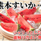 スイカ すいか 送料無料 熊本すいか 秀品 1玉 約3.5kg～5kg 熊本県産 西瓜 フルーツ