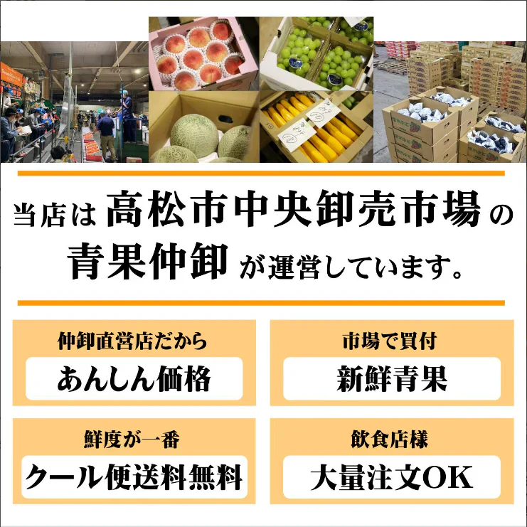 ＜秀品＞長野県産 シャインマスカット 1.2kg 秀品 2房 ~ 3房 種なし 長野県産 サイズおまかせ クール便 送料無料 | フルーツ ギフト 贈答用 家庭用 シャイン マスカット 贈り物 ギフト プレゼント 種なしぶどう 果物 くだもの 果実 青果 ブドウ 葡萄 おやつ デザート お歳暮