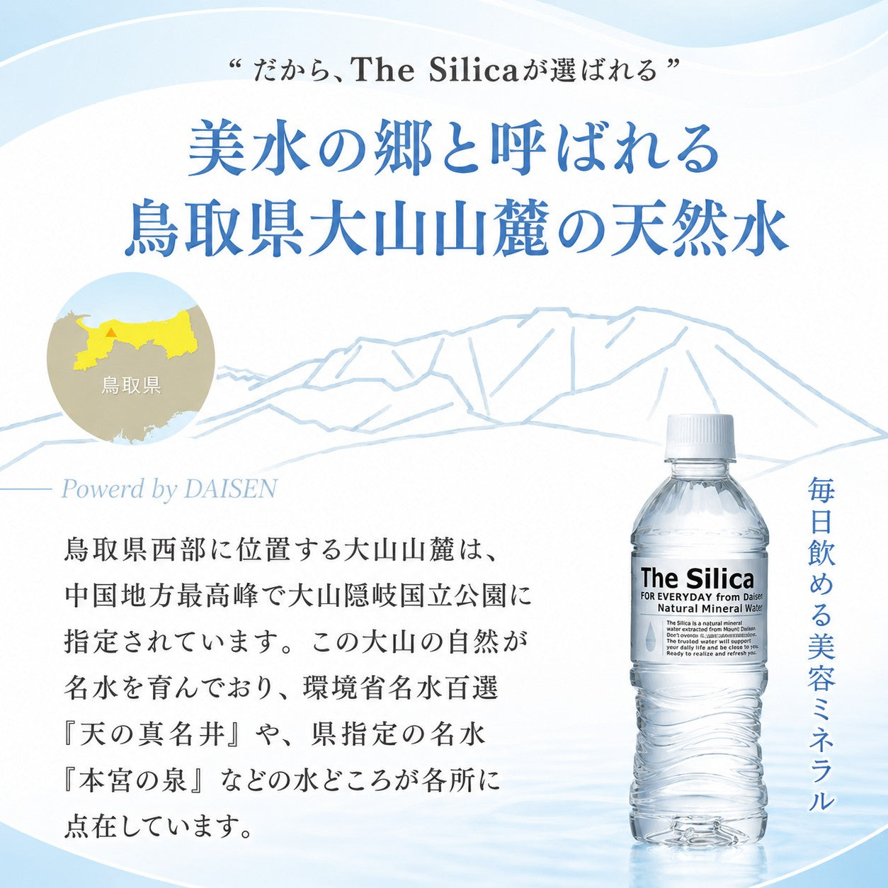 国産 天然水 The Silica ミネラルウォーター シリカ天然水 500ml 24本 2箱(計48本)国産 ケイ素水 ザシリカ