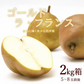 【11月下旬-12月下旬頃ご注文受付順次】洋梨　ゴールドラフランス　約2kg（5-8玉前後）化粧箱詰め　ギフト　山形県産　西洋梨　なし　ようなし　金色