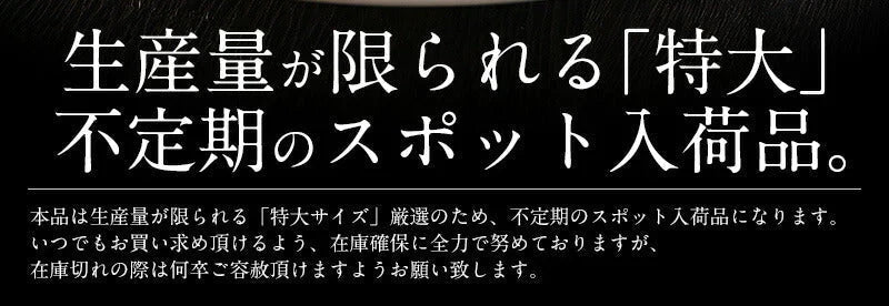 特大訳ありホタテ！ ホタテ ほたて 貝柱 特大 500g 訳あり（割れ 欠け サイズ不揃い） ほたて貝柱 ホタテ貝柱 ほたて 帆立 海鮮［送料無料］ 母の日 プレゼント ギフト  母の日思いの 健康 実用的 父の日 子供