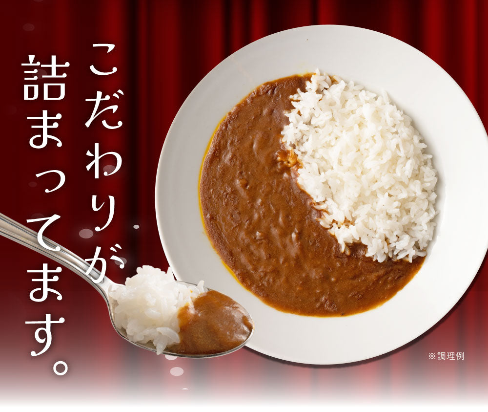 食研カレー 4食 (200g×4) 日本食研 中辛 送料無料 レトルトカレー 非常用 防災 備蓄 フード