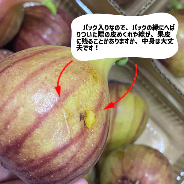 和歌山県産 いちじく 約1.2kg （約300g入り × ４パック）ご家庭用 イチジク 無花果 紀の川市
