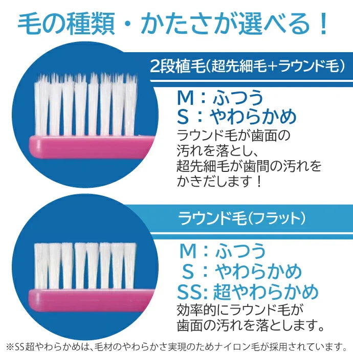 歯ブラシ Ciベーシック 超先細＋ラウンド毛 ／Mふつう 5本入り【メール便送料無料】