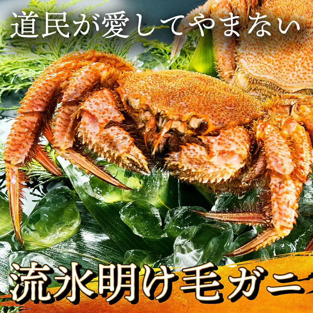 ！！1尾より断然お得！13,960円→今なら6,980円（6,980円引き）北海道産  浜茹で毛蟹 約500g×2尾【本州・四国エリア送料無料】オホーツク海の流氷明けで水揚げされた堅蟹を新鮮なままボイルしてます！