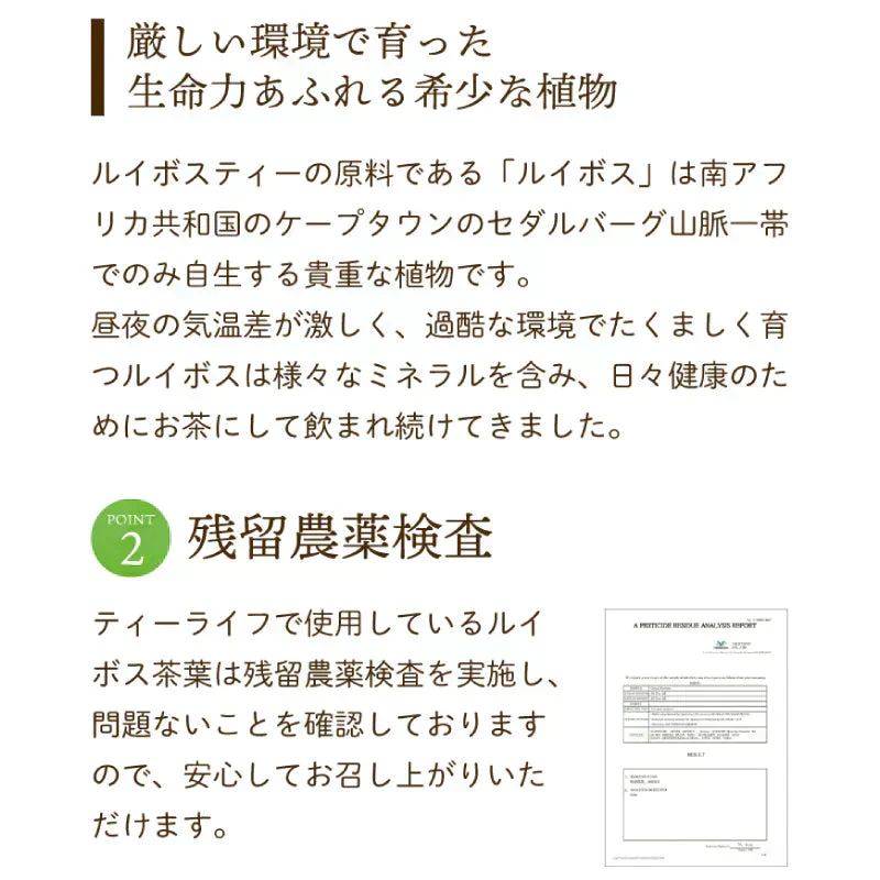 【最短当日出荷】ゴールデングリーンルイボスティー50個入　水出し ティーバッグ ハーブティー ノンカフェイン お茶
