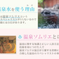 【3人シェア買いでお得】洗顔フォーム OV9 洗顔フォーム 泡 しっとり ぷるぷる 潤う 石鹸 送料無料 登別温泉 コスメ