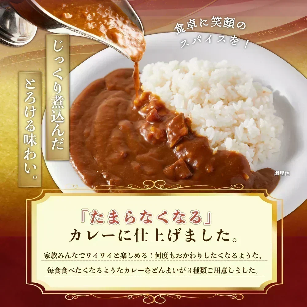 どんまいオリジナルカレー カレー 3種ミックス(180g×3) どんまいレトルトカレー ビーフカレー ポークカレー チキンカレー カレー 【カウシェファーム収穫対象商品】