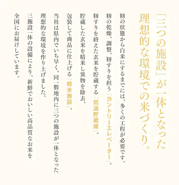 新米 令和5年産 山形県産 はえぬき 精米 10kg(5kg×2) 送料無料※一部地域を除く