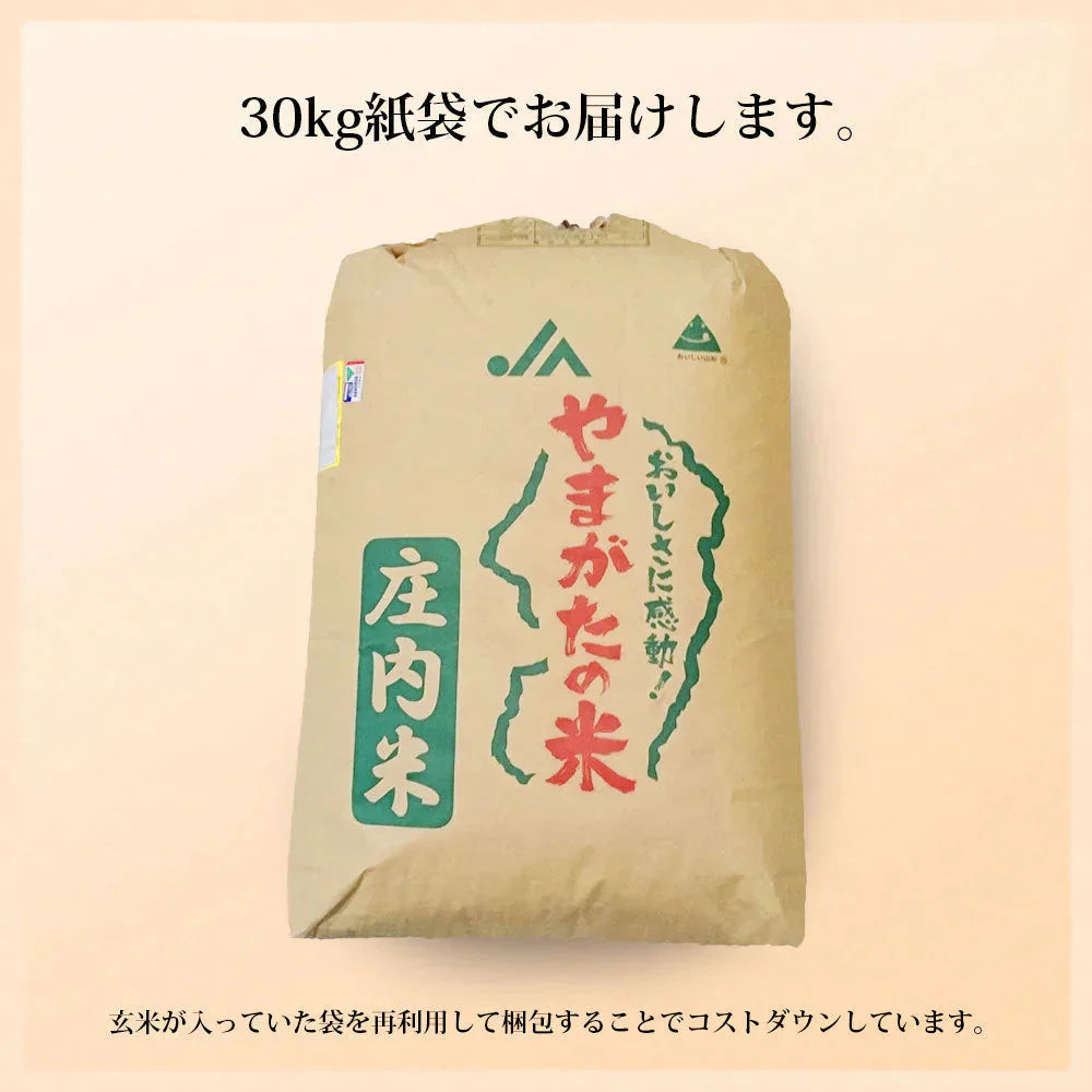 コシヒカリ 玄米 30kg 山形県産 令和7年産 送料無料 米 30キロ こめ コメ お米 新米 お米30kg コシヒカリ30kg コシヒカリ30キロ こしひかり30kg こしひかり30キロ